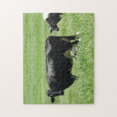 Grappig fotobombardement zwarte Koe Legpuzzel (Verticaal)