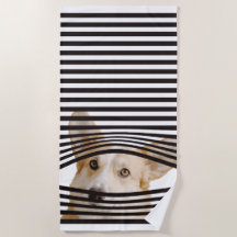 Grappig fotograferen van moderne geschenken voor h