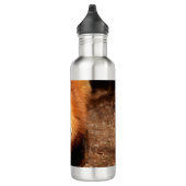 Grappig Fox die het aantikt is Tongue Waterfles (Rechts)