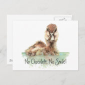 Grappig, geen chocolade, geen glimlach, angry Duck Briefkaart (Voorkant / Achterkant)