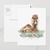 Grappig, geen chocolade, geen glimlach, angry Duck Briefkaart (Voorkant / Achterkant)