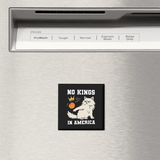 Grappig geen koningen in Amerika Magneet (Insitu (Vaatwasser))