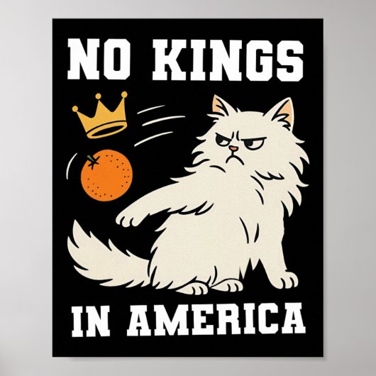Grappig geen koningen in Amerika Poster (Voorkant)