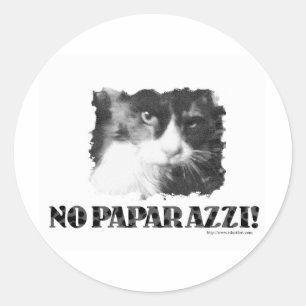 Grappig Geen Paparazzi Kat Ronde Sticker
