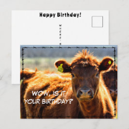 Grappig Gefeliciteerd Verjaardag Landelijke Boerde Briefkaart