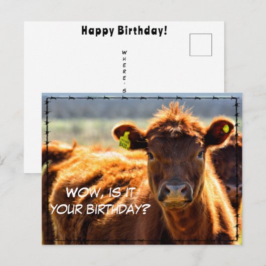 Grappig Gefeliciteerd Verjaardag Landelijke Boerde Briefkaart (Voorkant / Achterkant)