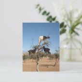 Grappig geit in een boom briefkaart (Staand voorkant)