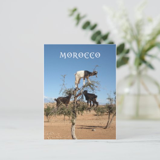 Grappig geit in een boom briefkaart (Staand voorkant)