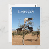 Grappig geit in een boom briefkaart (Voorkant / Achterkant)