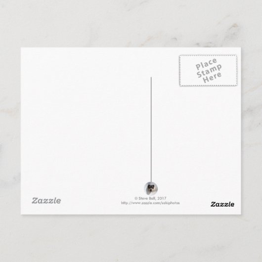 Grappig geit in een boom briefkaart (Achterkant)