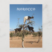 Grappig geit in een boom briefkaart (Voorkant)