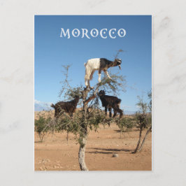 Grappig geit in een boom briefkaart