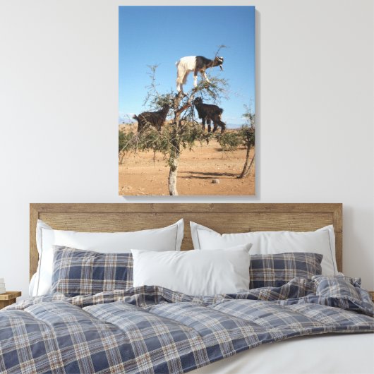 Grappig geit in een boom canvas afdruk (Insitu (Slaapkamer))