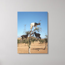 Grappig geit in een boom canvas afdruk