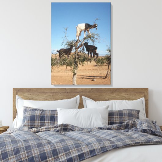 Grappig geit in een boom canvas afdruk (Insitu (Slaapkamer))