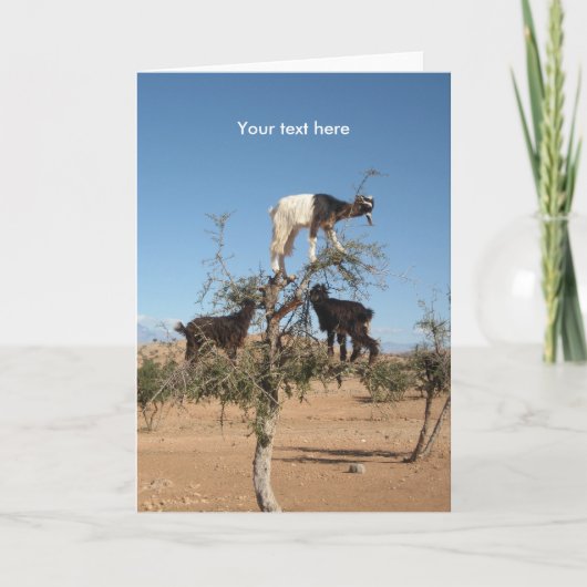 Grappig geit in een boom feestdagen kaart (Voorkant)