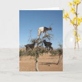 Grappig geit in een boom kaart (Gele Bloem)