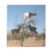 Grappig geit in een boom notitieblok (Voorkant)