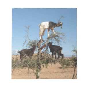 Grappig geit in een boom notitieblok