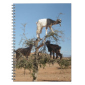 Grappig geit in een boom notitieboek (Voorkant)