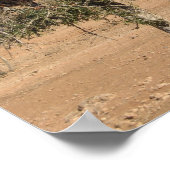 Grappig geit in een boom poster (Hoek)