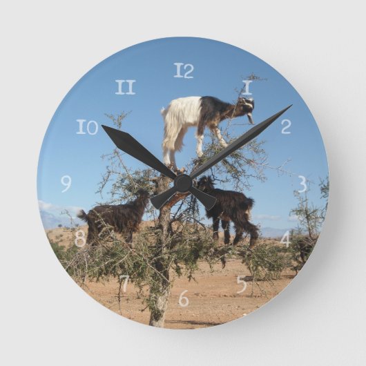 Grappig geit in een boom ronde klok (Voorkant)