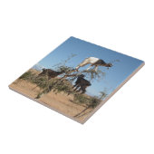 Grappig geit in een boom tegeltje (Zijkant)