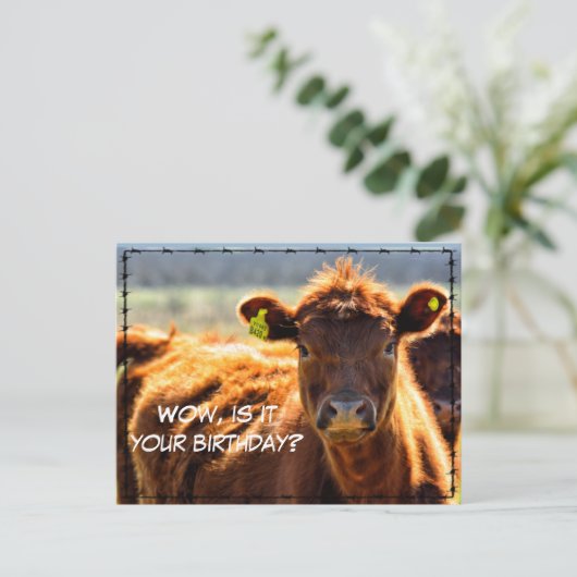 Grappig Gelukkig Verjaardagsland Postverhalen Vana Briefkaart (Staand voorkant)