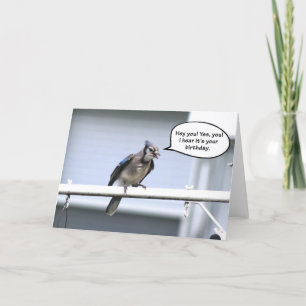 Grappig Gelukkige Verjaardagskaart - Blue jay verj Kaart