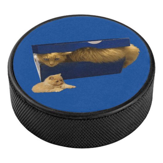 Grappig gemberkat in een schoenenkast. hockey puck (3/4)