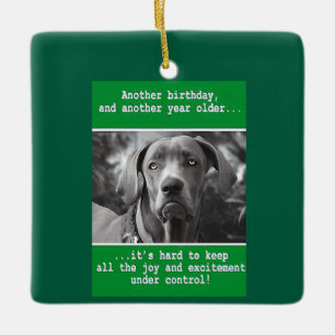 Grappig Gepersonaliseerde Hond Foto Verjaardag Keramisch Ornament