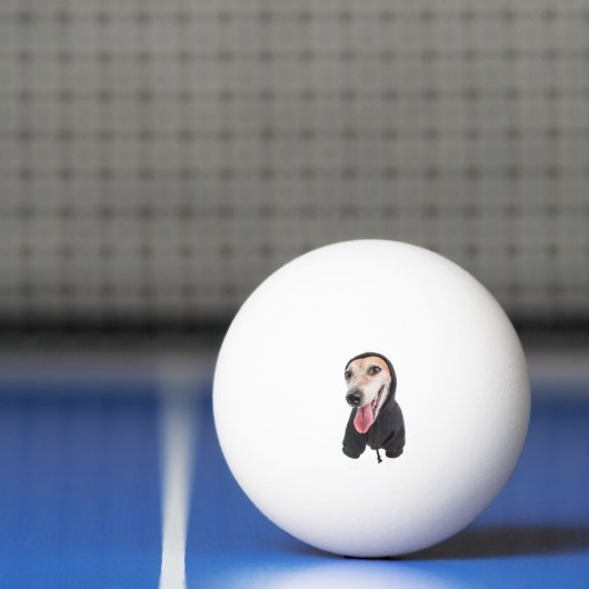 Grappig Gepersonaliseerde Uw Hond Foto Pingpongbal (Net)