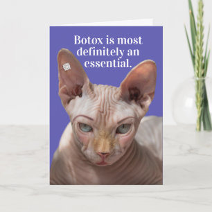 Grappig gerimpeld kat-botox is essentieel kaart