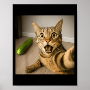 Grappig geschokte kat selfie met komkommer meme on poster