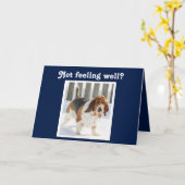 Grappig Get Well Kaart met Schattigee Basset Hound (Gele Bloem)
