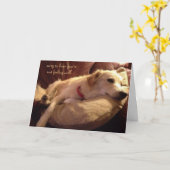 Grappig Get Well, Schattigee Sleeping Dog Dreams Kaart (Gele Bloem)