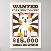 Grappig gewild kat voor te kletsen poster (Voorkant)