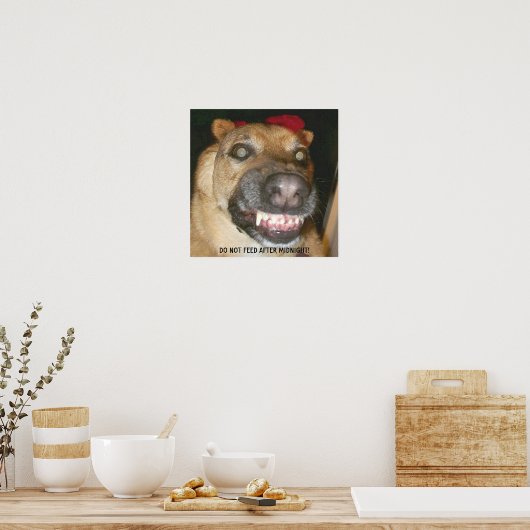 Grappig gezicht GSD hond niet voeden na middernach Poster (Keuken)