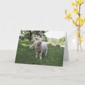 Grappig Gezicht Kaart (Gele Bloem)