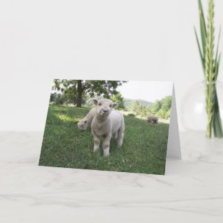 Grappig Gezicht Kaart