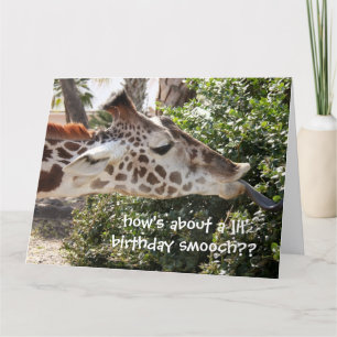 Grappig Giraffe Birthday Card, verjaardagsglans!! Kaart