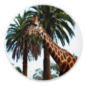 Grappig Giraffe die Tongue eruit gooit. Keramische Knop (Voorkant)