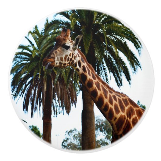 Grappig Giraffe die Tongue eruit gooit. Keramische Knop (Voorkant)