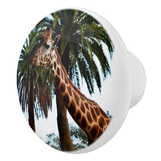 Grappig Giraffe die Tongue eruit gooit. Keramische Knop (Rechts)