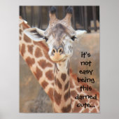 Grappig Giraffe Poster (16x12), niet makkelijk sch (Voorkant)