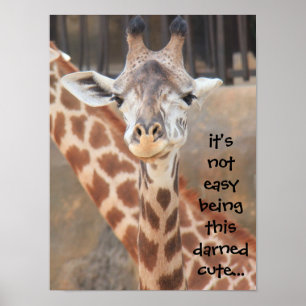 Grappig Giraffe Poster (16x12), niet makkelijk sch