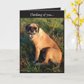 Grappig Glimlachend Engels Mastiff Hondenkaart Kaart (Gele Bloem)