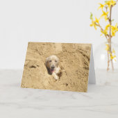 Grappig Golden retriever Kaart (Gele Bloem)