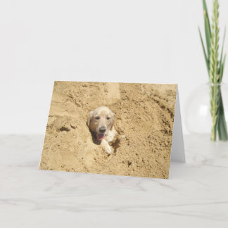 Grappig Golden retriever Kaart