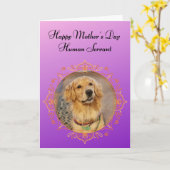 Grappig Golden Retriever Superior Being Moederdag Kaart (Gele Bloem)